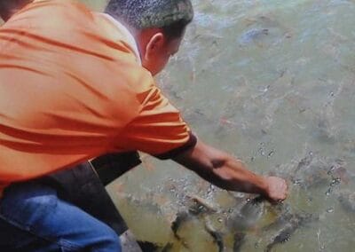 Taman Pelancongan Konservasi Kelah Sungai Pelong
