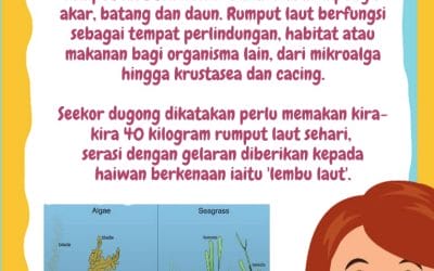 Informasi Awam – Dugong