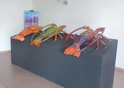 Refugia – Spiny Lobster Information Center 2022